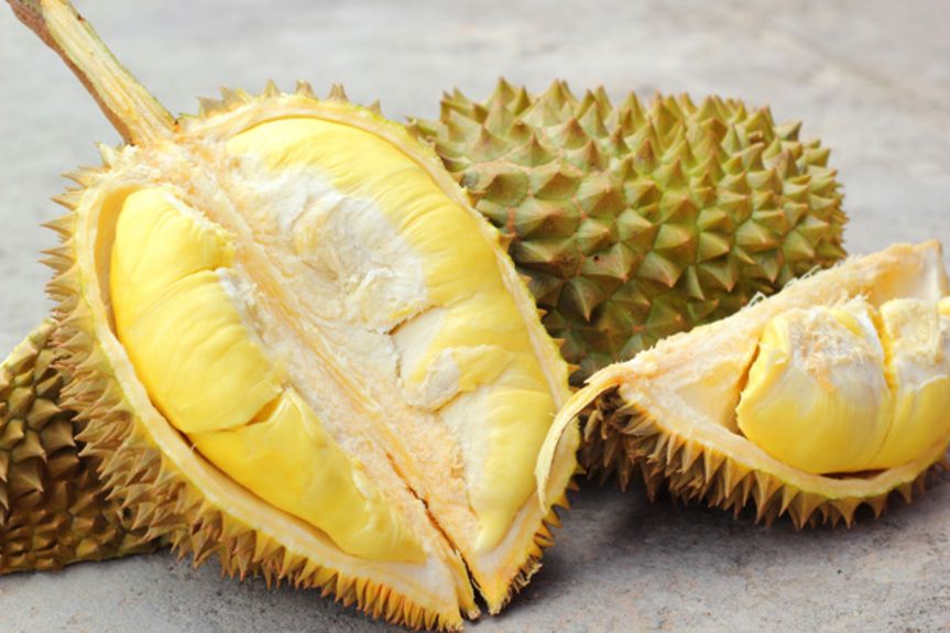 durian_201310310
