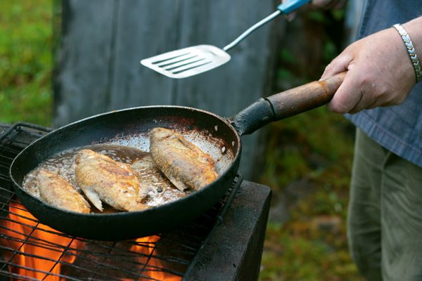 Αποτέλεσμα εικόνας για μαγειρεμα ψαριων