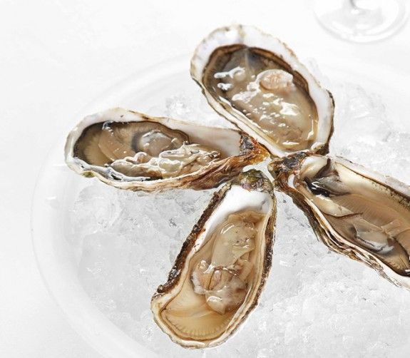 Oysters-on-ice-with-lemon--575x502