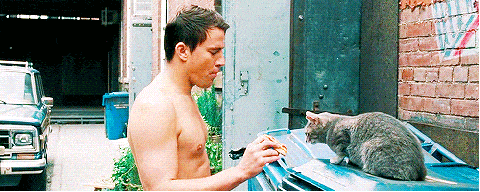 gallery-1434724426-delish-channing-tatum-pizza-giphy