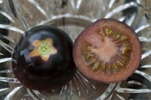 black-tomatoes5-550×366