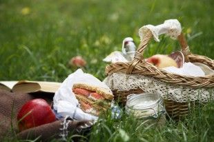 picnic-basket_144761302