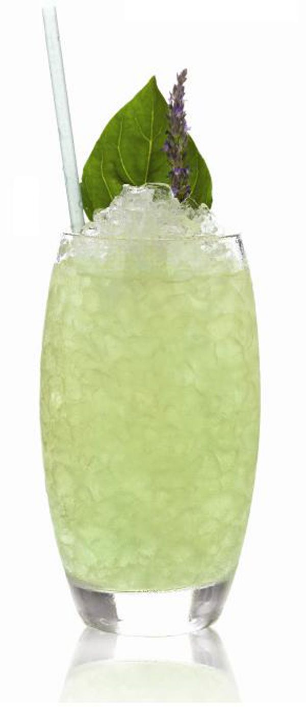 neo-cocktail-ouzo