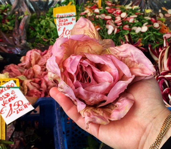 roz maroyli