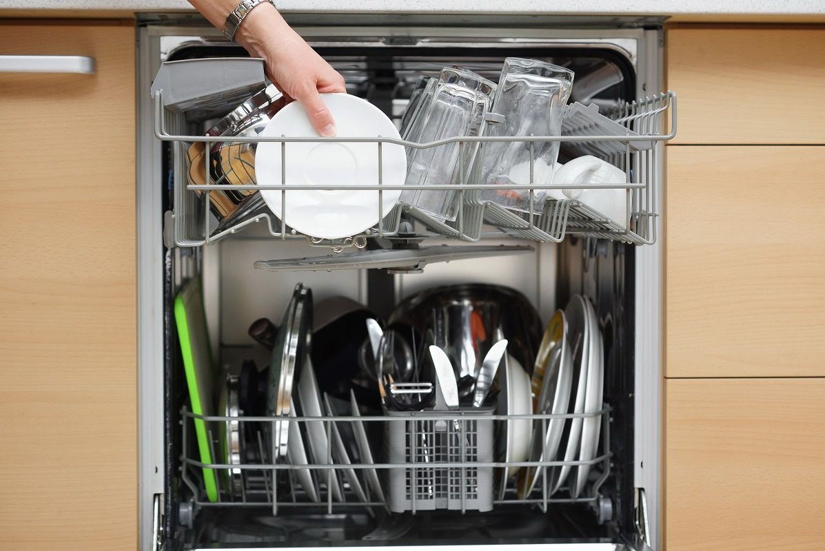 28459492 – woman is using a dishwasher in a modern kitchen