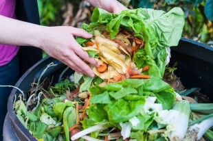 45903051 – composting the kitchen waste