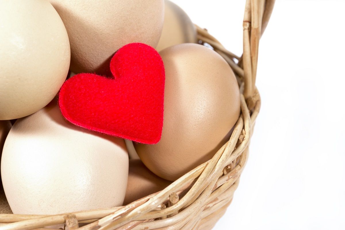 red heart-shaped with egg in basket