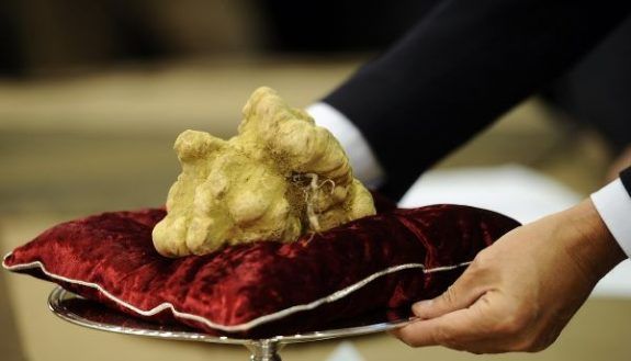 20181116162206_white-truffle-auction