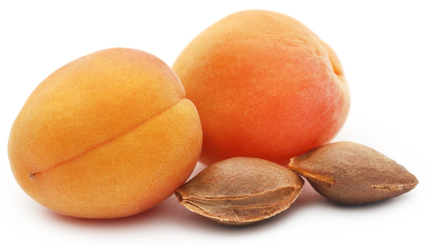 Apricot with seeds