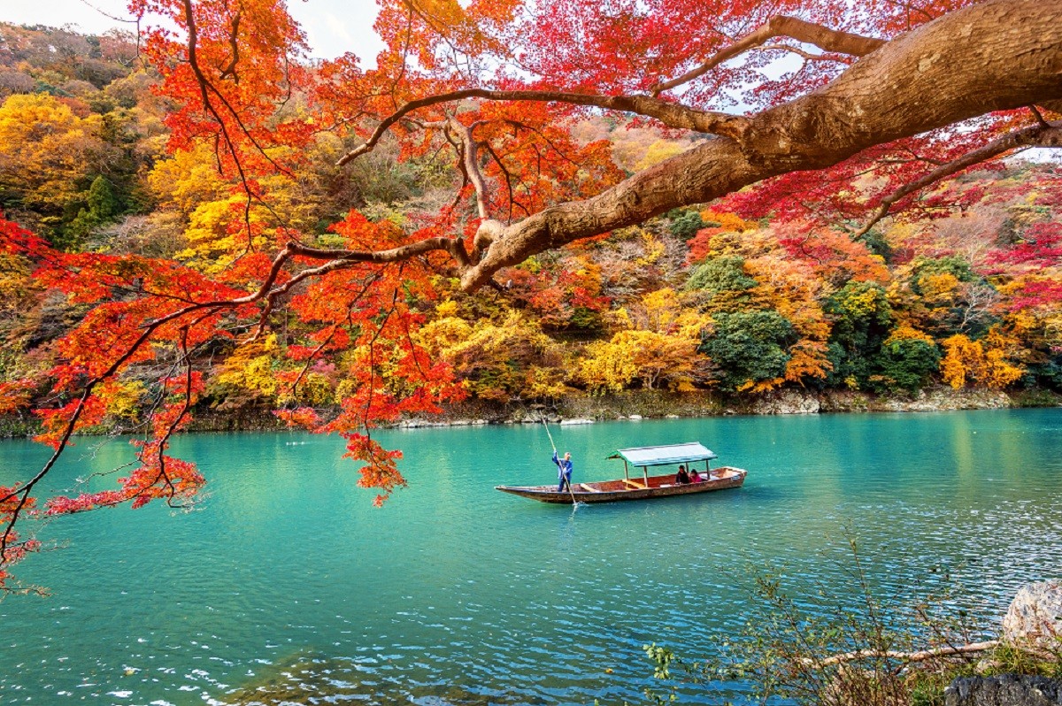 Boatman punting the boat at river. Arashiyama in autumn season a