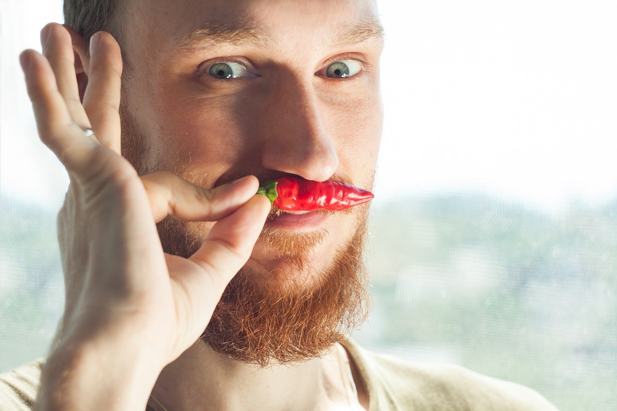 Handsome bearded man bites a red hot chili pepper and smiles.