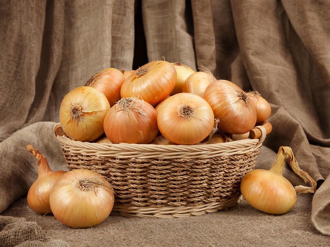 Onion in basket