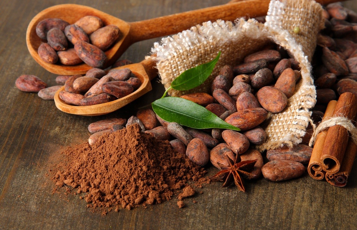 Cocoa beans in spoons, cocoa powder and spices on wooden background