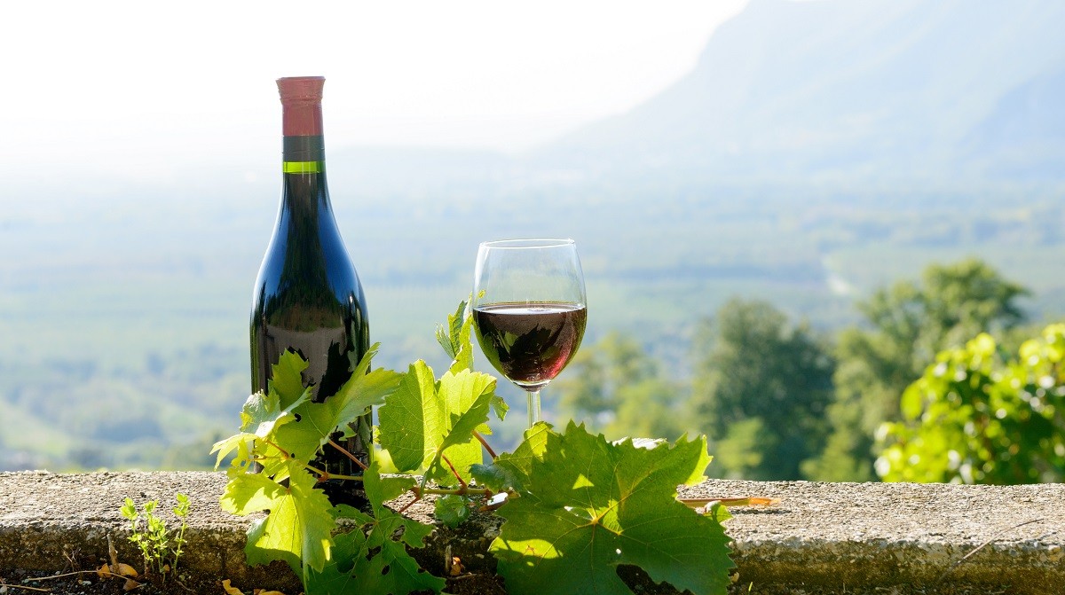 bottle and a glass of red wine,  on vineyard  background