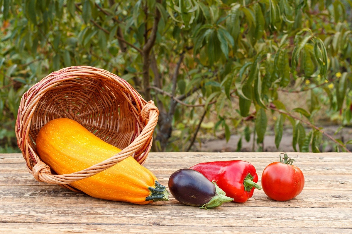 Vegetables in a wicker basket in natural green background