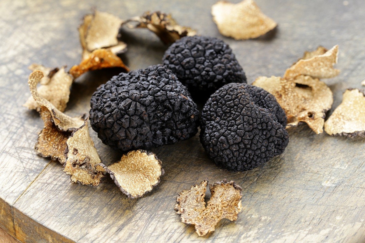 expensive rare black truffle mushroom – gourmet vegetable