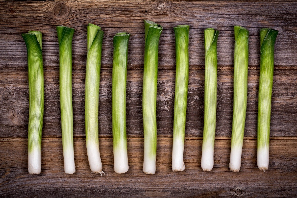 Baby leeks on old wood background, vintage style with intentional vignette