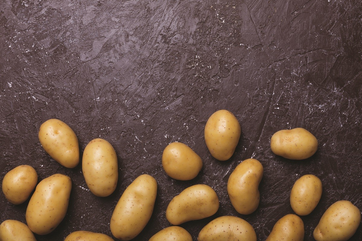 Sprinkled potatoes on dark background with copy space