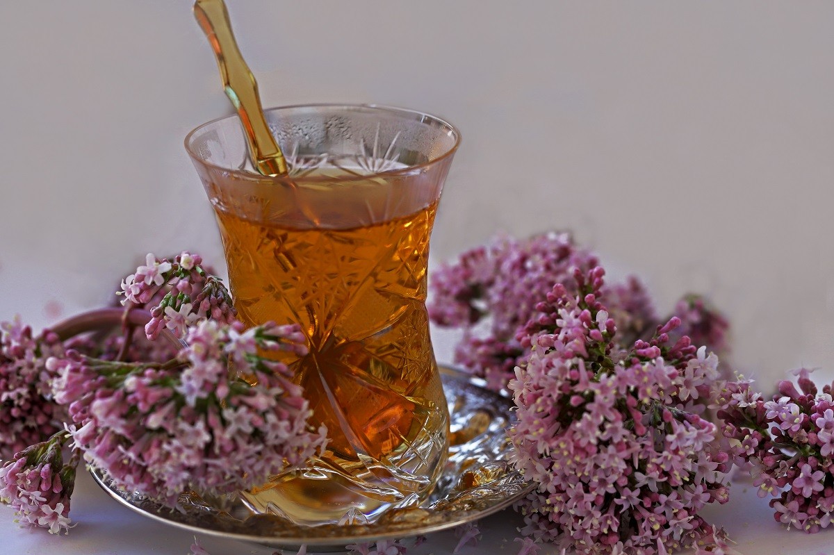 cat grass tea; Valeriana officinalis tea