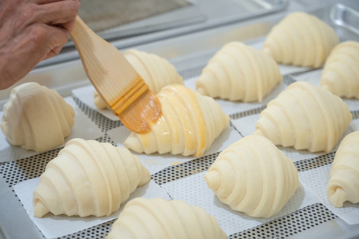 Baking classic croissants at home and brushing egg on uncooked c