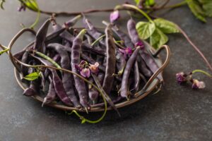 Fresh purple string beans on a black table, clean eating,selective focus.
