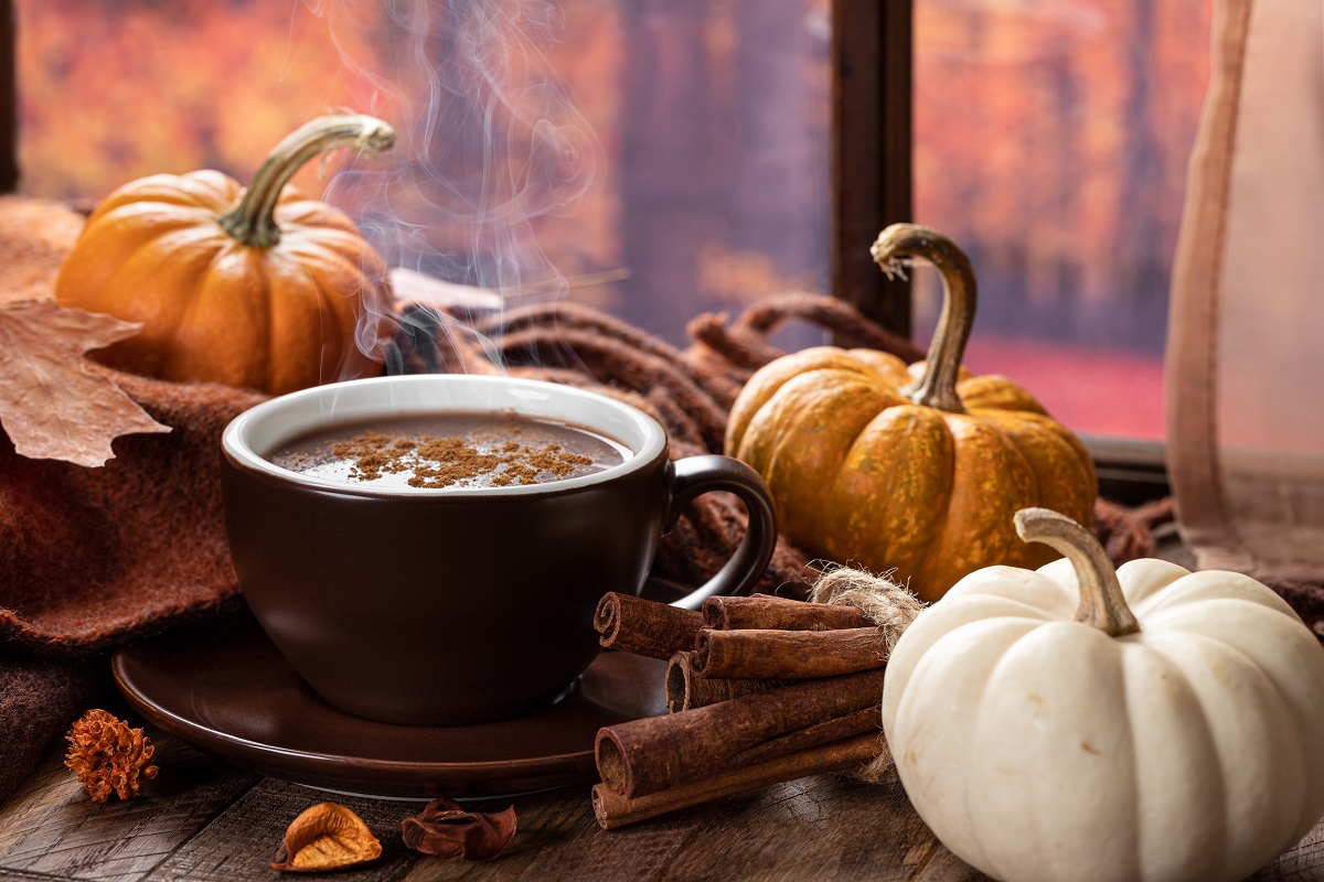 Steaming,Cup,Of,Hot,Chocolate,With,Cinnamon,And,Mini,Pumpkins