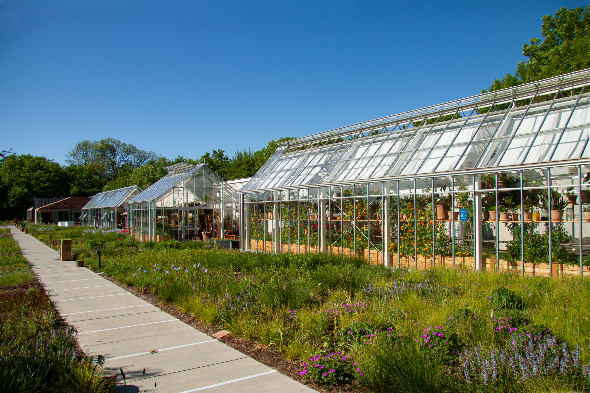 The,New,Noma.,An,Exterior,View,Of,Greenhouses,At,The