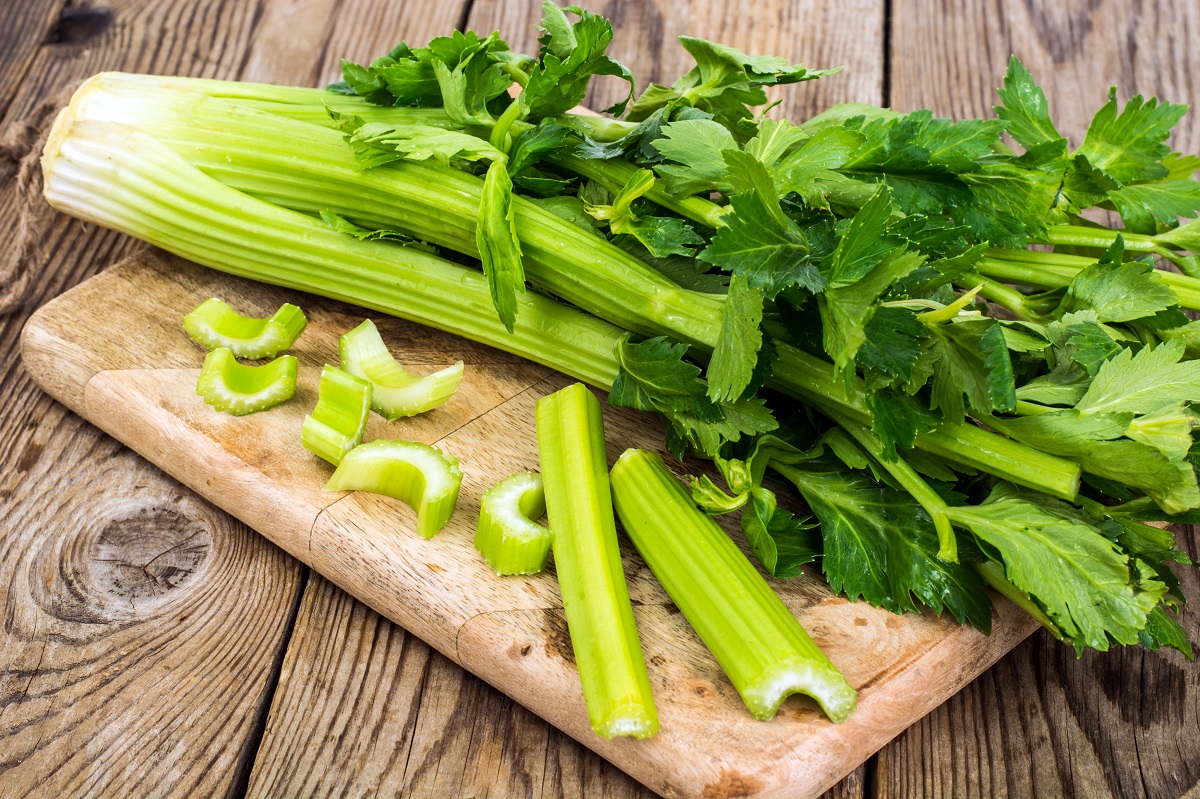 Bunch,Of,Fresh,Celery,Stalk,With,Leaves.,Studio,Photo