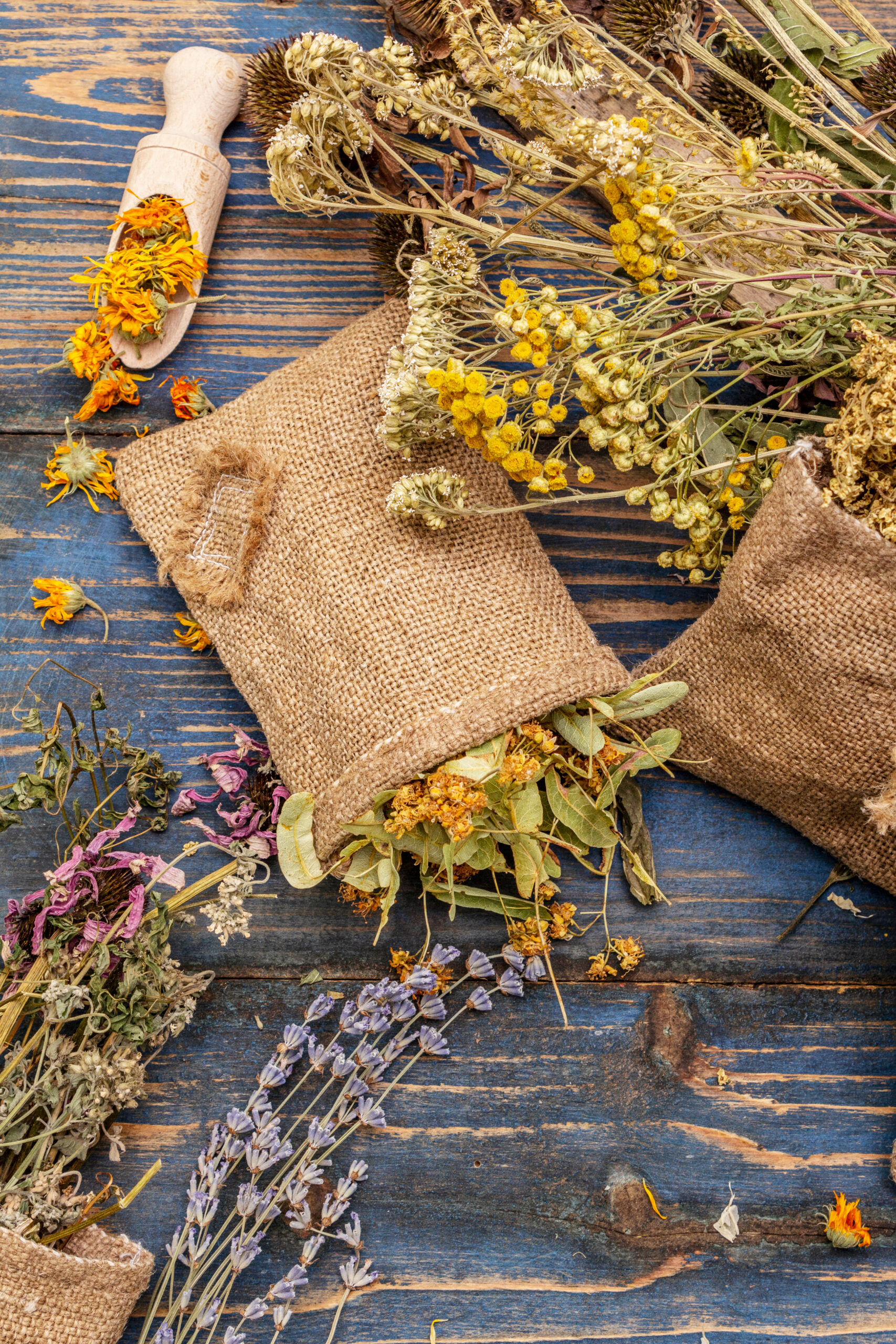 Herbal,Harvest,Collection,And,Bouquets,Of,Wild,Herbs.,Alternative,Medicine.