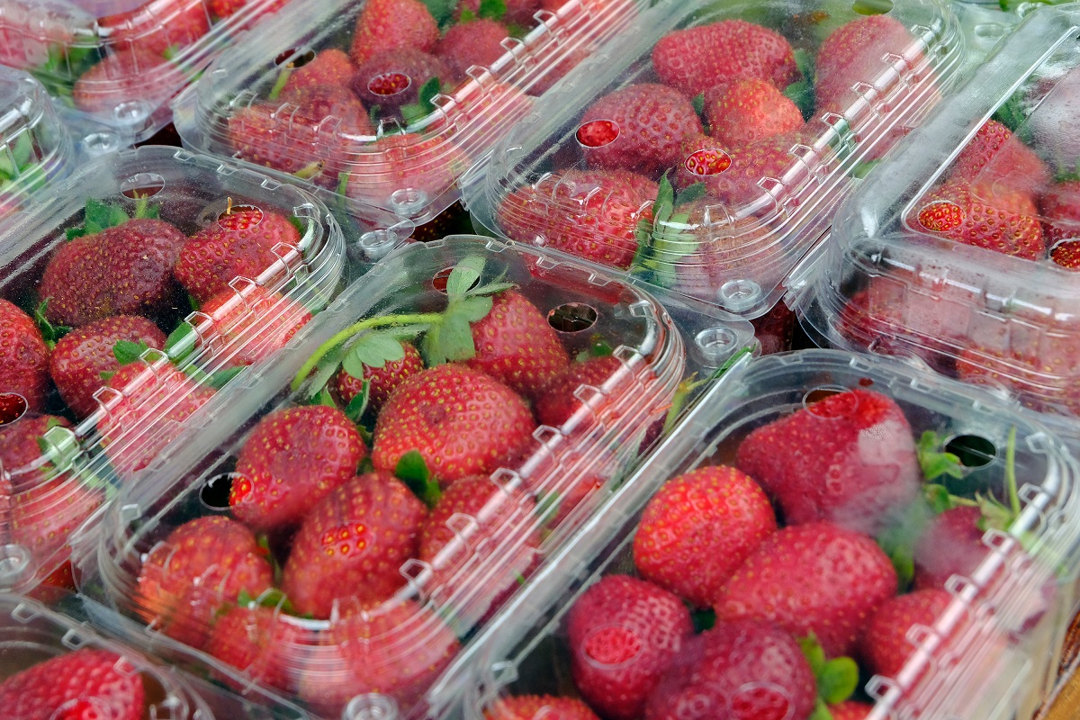Strawberries,Close-up,In,Plastic,Packaging,For,Sale,In,Supermarkets.,Seasonal