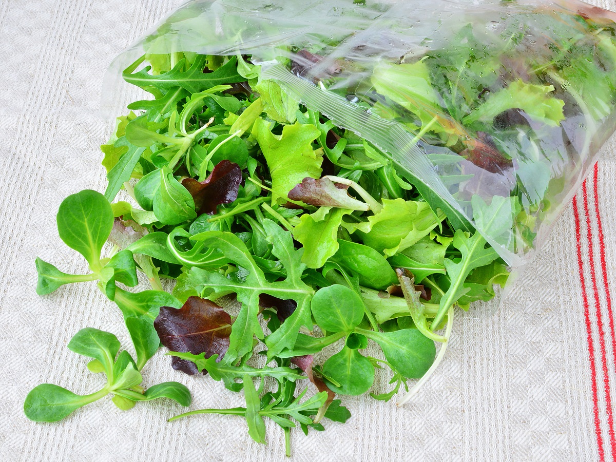 Fresh,Mixed,Greens,Leaf,Vegetables,Of,Arugula,,Mesclun,,Mache,In