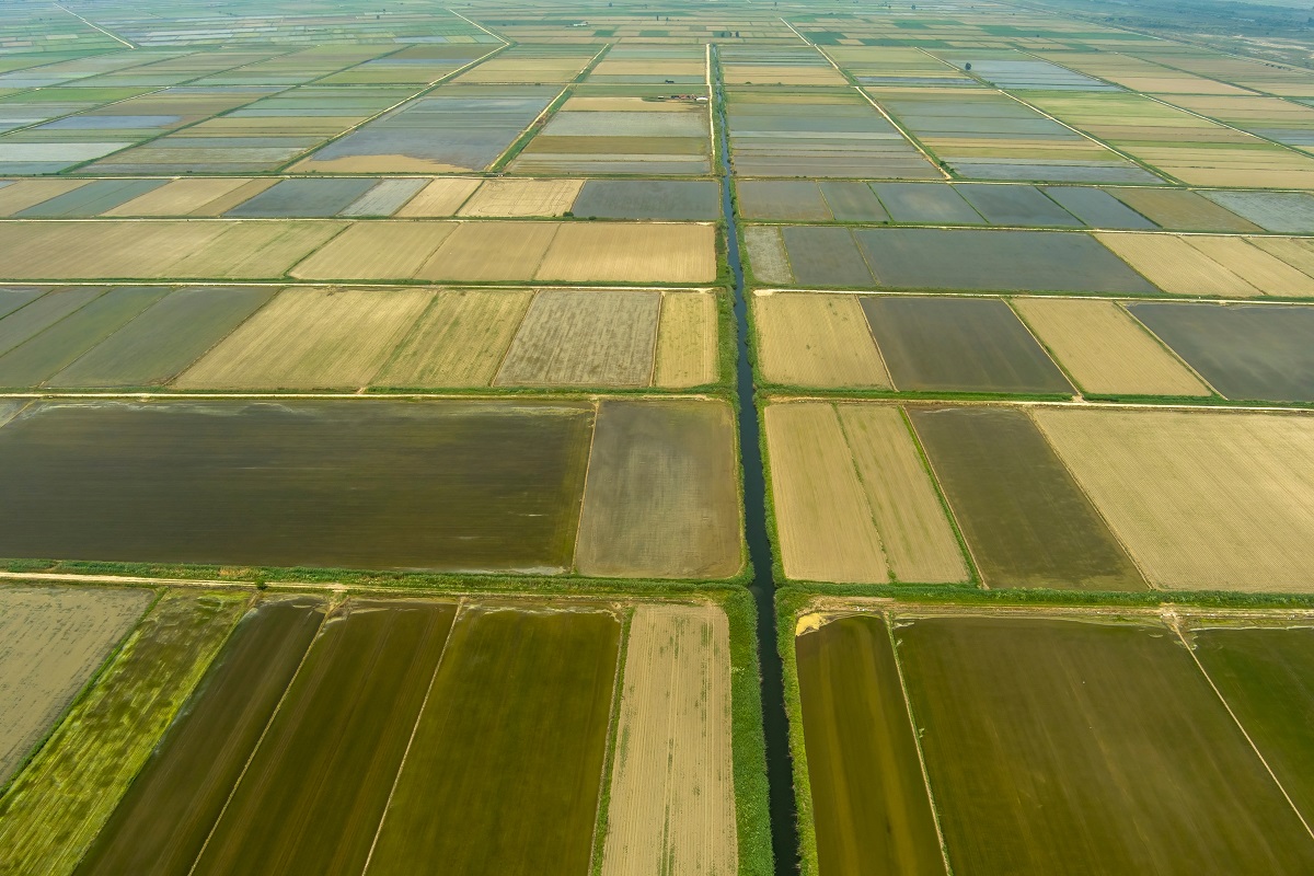 Aerial,View,Of,Rice,Field,In,Xalastra,,Greece