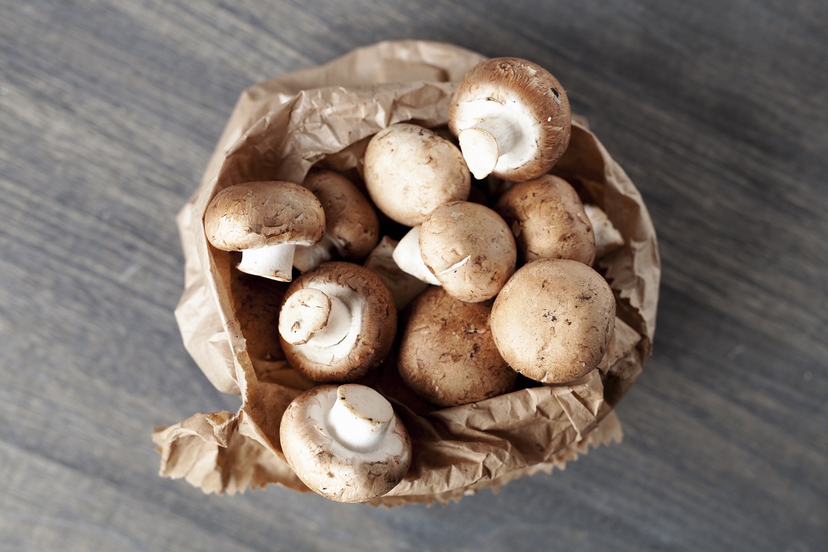 Fresh,Boletus,Mushrooms,In,A,Paper,Bag